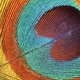 Illustration for article titled How Nanoscale Optics Create Natures Most Dazzling Colors
